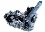 Natural Smoky Quartz Crystal Cluster - Point!!! #78115-1